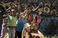 Lustige Aborigines Kinder