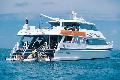 Poseidon im Great Barrier Reef