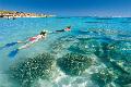 Schnorchler am Ningaloo Reef