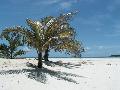 Strand auf Madagaskar