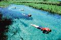 Pantanal, Ausflug Sucuri