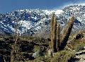 Nordchile