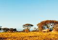 Olivers Camp