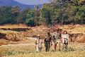 Buschwanderung im South Luangwa Tal