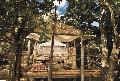 Island Bush Camp